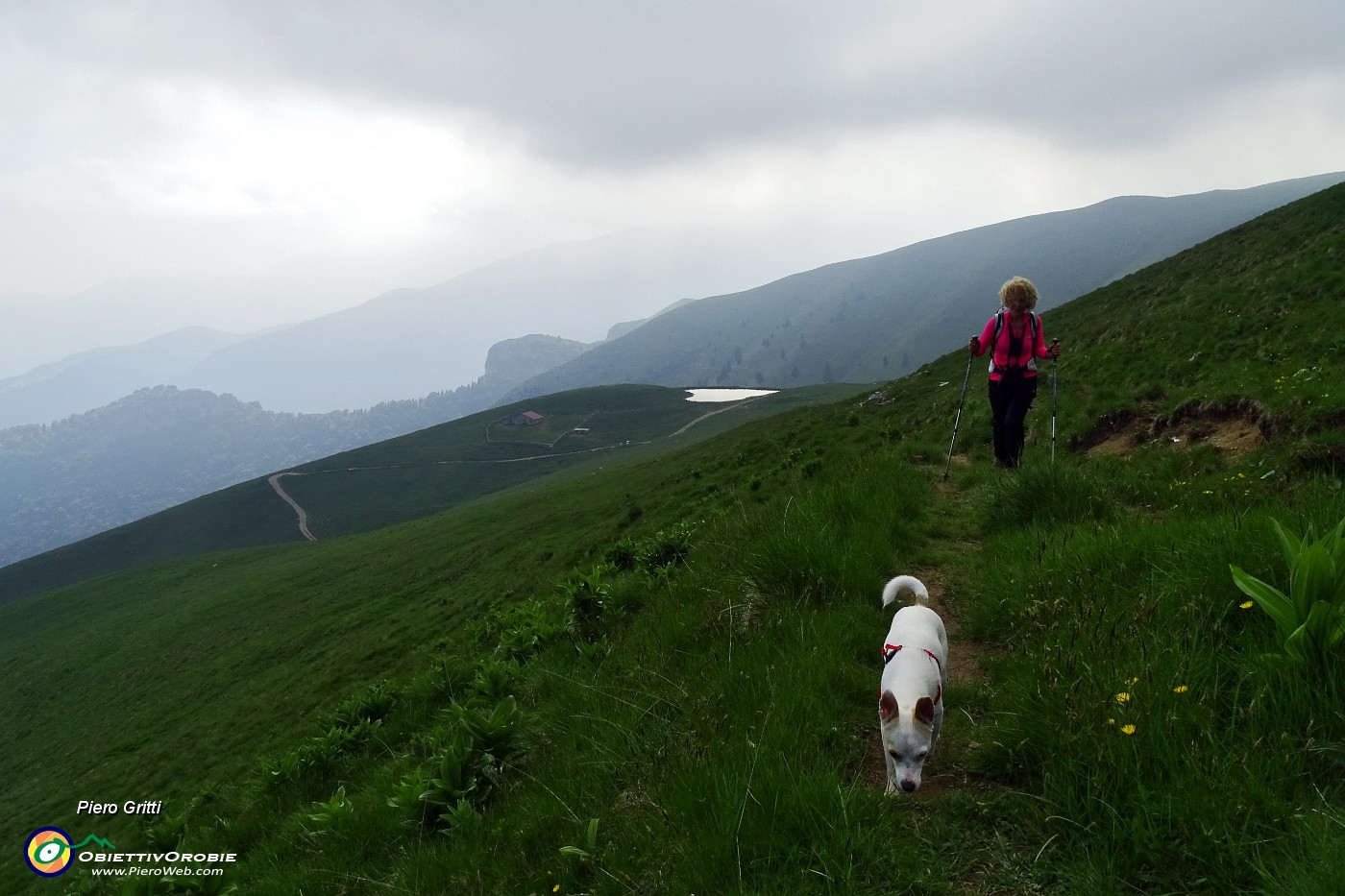 84 Sul 241 dalla Terza Baita del Vaccaro (1649 m)  saliamo....JPG -                                